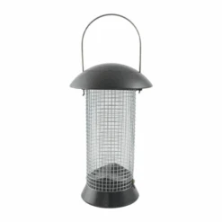 CJ Wildlife Pindasilo Adventurer (24cm)