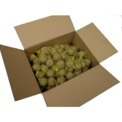 Talen Tools Sectorsproeier Op Driepoot