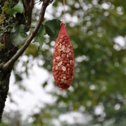 Hadivo Pindanetje XL 60stuks A 195gram Tuinvogelvoer 5 Hadivo Pindanetje XL 60stuks A 195gram Tuinvogelvoer -Vogelbenodigdheden Winkel image 274