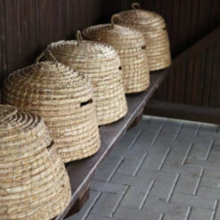 Esschert Design Bijenkorf - C2041 -Vogelbenodigdheden Winkel image 292