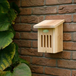 Esschert Design Vlinderkast In Geschenkverpakking -Vogelbenodigdheden Winkel image 318