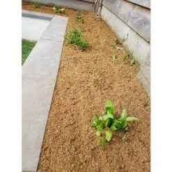 Strovan Stropellets Tuin 40 Liter -Vogelbenodigdheden Winkel image 493