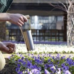 De Wiltfang RHS Bollenpriem, Handmodel -Vogelbenodigdheden Winkel image 582