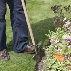 De Wiltfang RHS Graskantensteker -Vogelbenodigdheden Winkel image 608