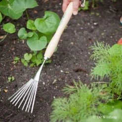 Burgon & Ball RHS Borderhark - Verlengd -Vogelbenodigdheden Winkel image 620