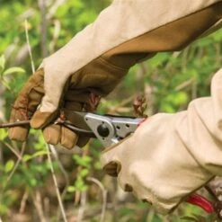 De Wiltfang Foxgloves Rozenhandschoenen Gauntlet -Vogelbenodigdheden Winkel image 628