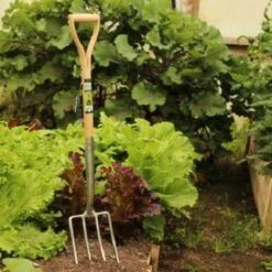 Burgon & Ball RHS Spitvork 4 Tanden -Vogelbenodigdheden Winkel image 660