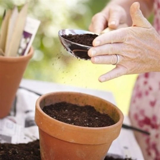 De Wiltfang Handzeef 3 De Wiltfang Handzeef - Afbeelding 3