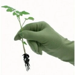 De Wiltfang Foxgloves Original