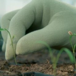 De Wiltfang Foxgloves Original -Vogelbenodigdheden Winkel image 698