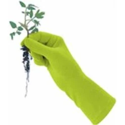 De Wiltfang Foxgloves Original -Vogelbenodigdheden Winkel image 700