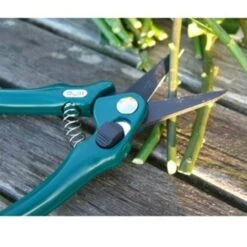 De Wiltfang Bloemenschaartje Groen -Vogelbenodigdheden Winkel image 712