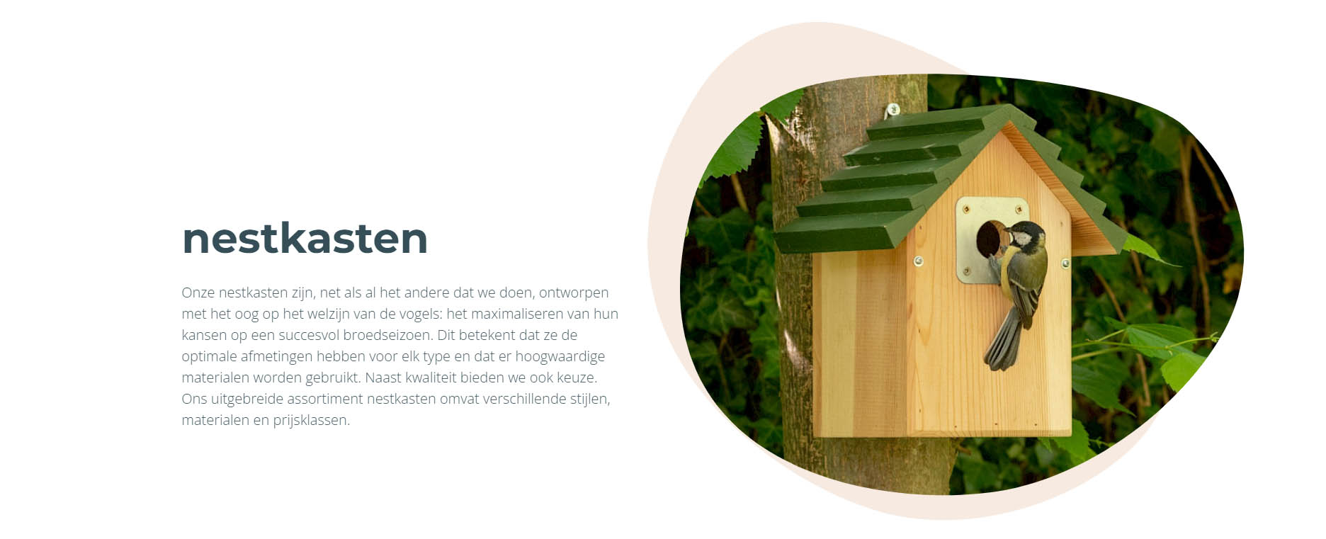 Vogelbenodigdheden Winkel -Vogelbenodigdheden Winkel dsgdg